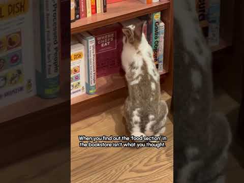 Tu as lu celui-là ? Je l'ai absolument dévoré ! ‍