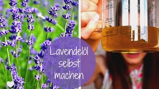Lavendelöl selbst machen