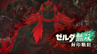ついに最終決戦！果たしてガノンドロフを倒すルートはあるのか！？『ゼルダ無双封印戦記』The Legends Of ZELDA ゼルダの伝説　Switch2