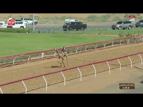  ش 22 (اليازي) لـ مطر سالم سيف البلوشي 2:11:6 , تسعيرة بن حماد الشامسي 2026/04/18 فطامين 