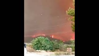 Antalya'nın Manavgat ilçesinde çıkan orman yangını söndürülmeye çalışılıyor.