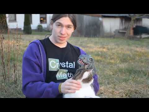 Dorian der Übermensch - VBT 2015 - Alle Runden