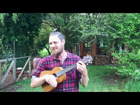 Charlie Mgee - Private Revolution (World Party)