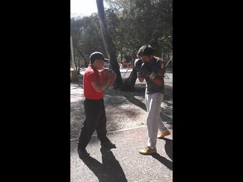 Box con Coreanito