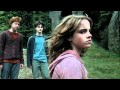 You Foul Loathsome Evil Little Cockroach Harry Potter And The Prisoner Of Azkaban