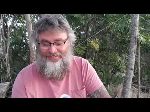 ACIM WB Lesson 29 ~ A COURSE IN MIRACLES WORKBOOK LESSONS ~ 365 DAYS W/ DAVE PHARE