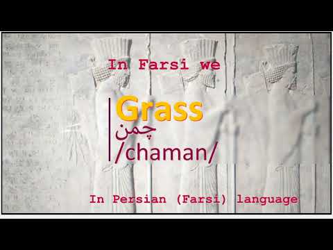 The meaning of Grass in Persian or Farsi چمن chaman
