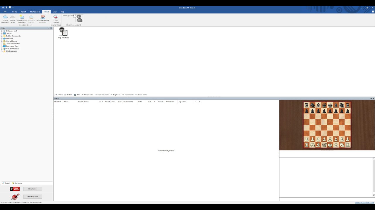 ChessBase 14 - Layout
