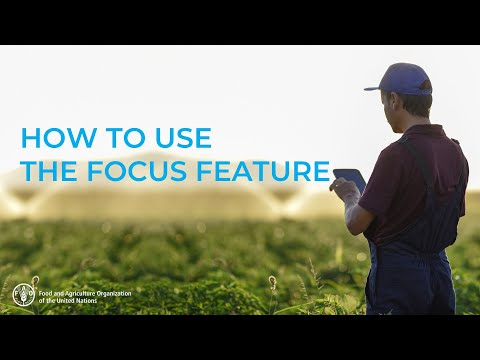 How to Use the Focus Feature