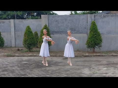 Ocean and Pearls From The Little Humpback Horse | BALLET DUET #ballet #dancers #tebingtinggi