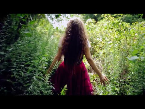 Maya Solovey - Better