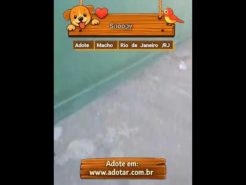 Vídeo de Snoopy