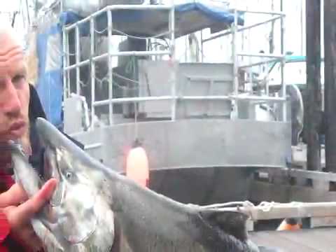 Salmon Fishing  Ucluelet BC 2009