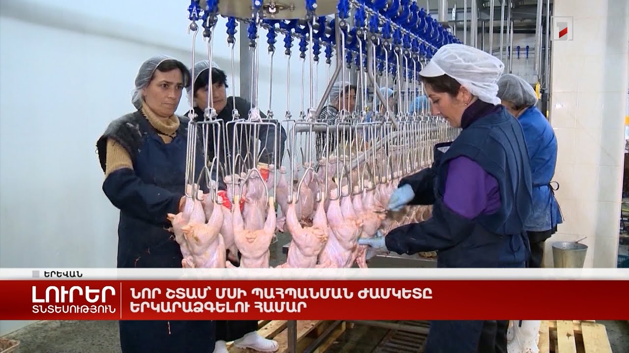 Նոր շտամ՝ մսի պահպանման ժամկետը երկարաձգելու համար