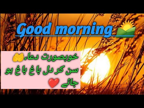 |Good morning 🌄| |subha bakhair|😊|Morning wishes| 🌅|Whatsapp status| |Urdu status||Dua status video|