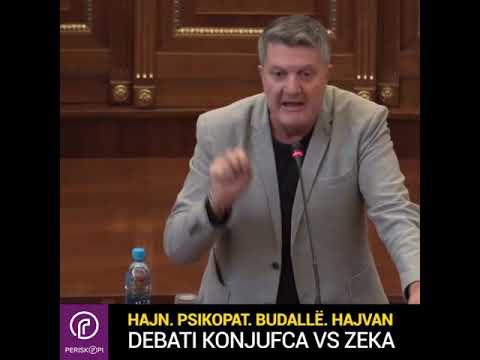 Hajn. Psikopat. Budallë. Hajvan  – Çka i thane njëri – tjetrit Milaim Zeka dhe Glauk Konjufca