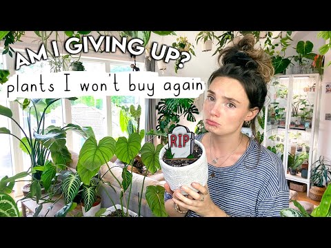 Plants I've Given Up With + Wouldn't Buy Again ❌ Struggle Plants I'm FED UP With
