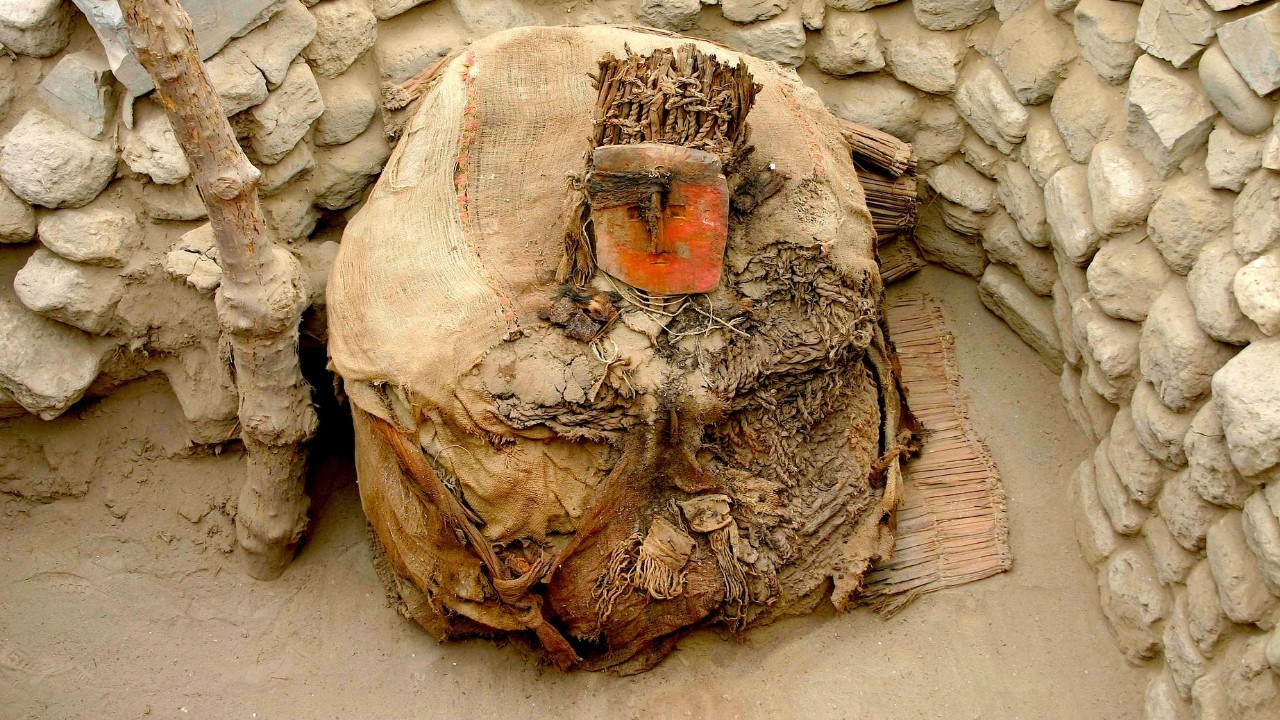 Ancient DNA reveals a pre-Inca trade of live parrots