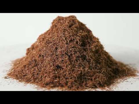 Кукурузные рыльца