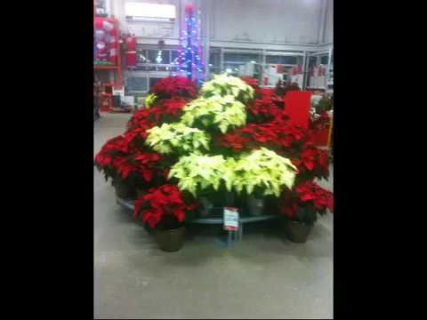 CHRISTMAS  HURRAH ( CARL DOBSON)  jazie970 written by karl dobson