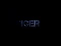 Tiger 3 Title Card Theater Reaction