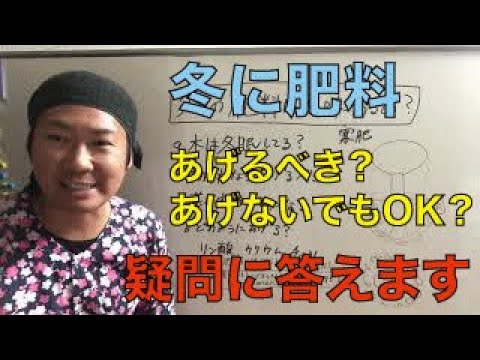 どの菊の肥料を選ぶべきですか？冬になったらどのようにお手入れすればよいでしょうか？  庭園