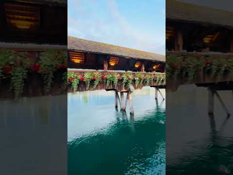 🌸🌁 #travel #mountains #nature #europeantravel #switzerland #swiss #calm #lakeluzern #swisstown