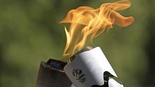 A Jaguar Was Killed After An Olympic Torch Event In Brazil