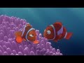 Finding Nemo P1 Viralvideo