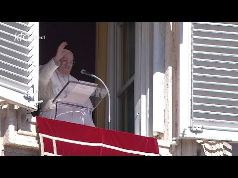 Angélus du 13 octobre 2024