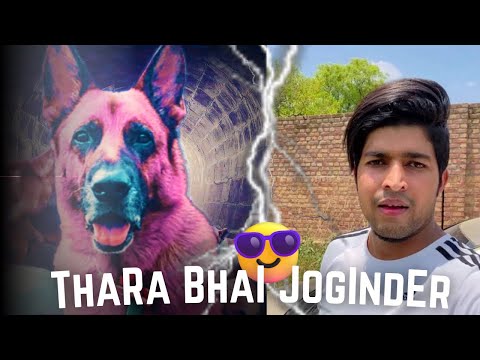 Thara Bhai Joginder Roasted By DogSer || Nitih DogSer