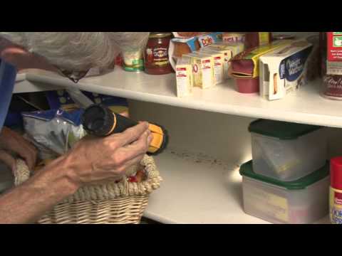 image-How do rodent tracking powders work?How do rodent tracking powders work?