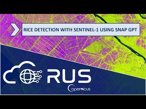 RUS Webinar: Rice Detection with Sentinel-1 using SNAP GPT - LAND10