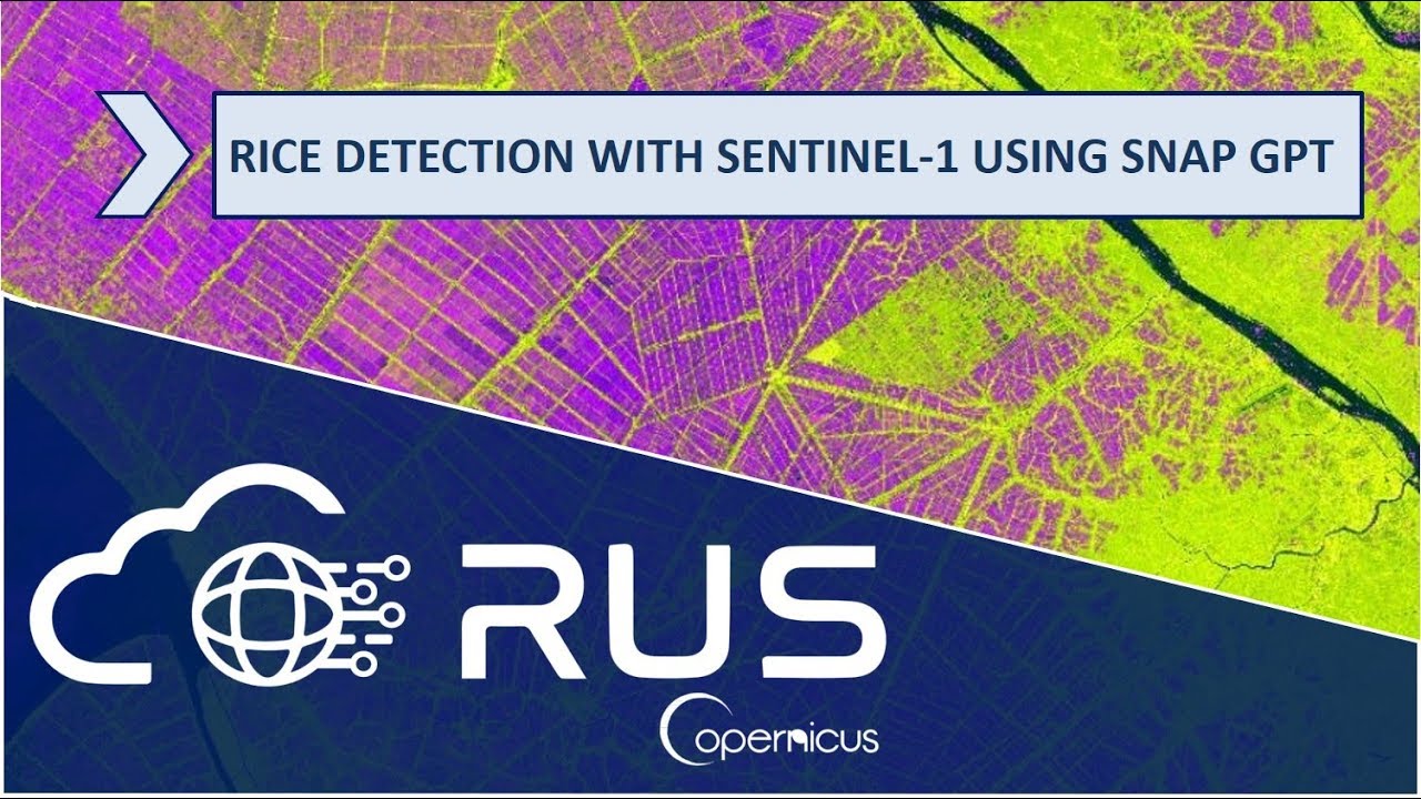 RUS Webinar: Rice Detection with Sentinel-1 using SNAP GPT - LAND10