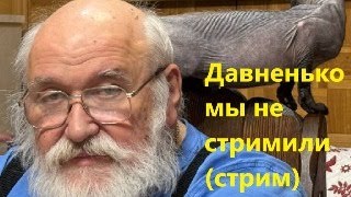 Давненько мы не стримили (стрим)