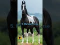 Top 10 Best Horse Breeds In The World Shortsfeed Viral Trending Ytshorts