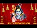 Happy Mahashivratri Status Video Mahashivratri Shivratri Mahashivratristatus Mahashivratrivideo 55