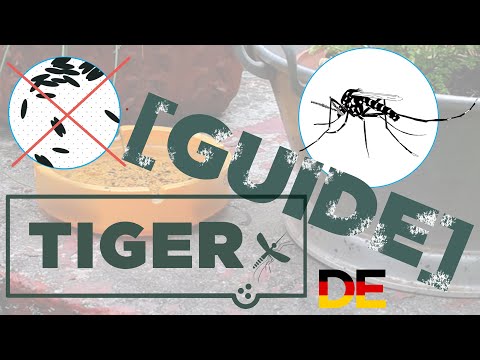 Tigermücken Prävention - Aschenbecher [TIGER Guide]