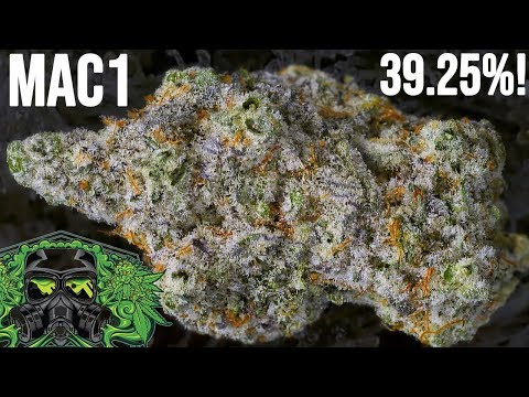 MAC1 STRAIN REVIEW (Capulator's Cut)