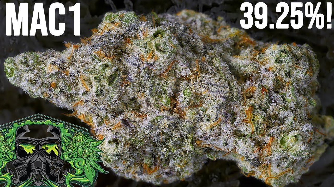 MAC1 STRAIN REVIEW (Capulator's Cut)