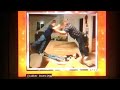 Afv Honorable Mentions S20e09