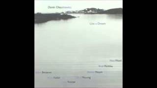 Darek Oles [Like a Dream] - 07. Before the journey