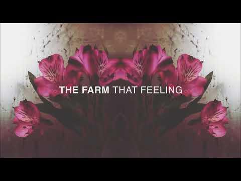 Video thumbnail for That Feeling