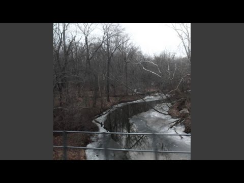 「ノット・ホーム・アローン・アゲイン」:「ケビン」スピンオフで何か新しいことはありますか?