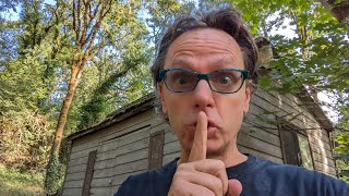 How to get Salvia Divinorum