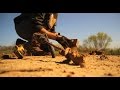 Step By Step Dirt Hole Set For Coyote Trapping- The ...