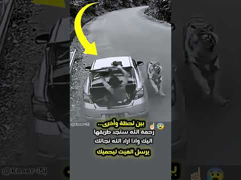 ما بين لحظه وأخرى .رحمة الله هيا مفتاح نجاتك😱💔\#animals #viralshorts #youtubeshorts