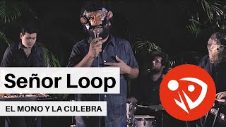 Señor Loop - El mono y la culebra (Video Oficial)