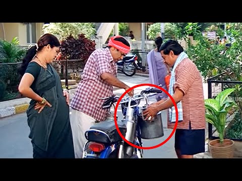 Brahmanandam And Kovai Sarala Hilarious Comedy Scene | Telugu Super Hit Movie Scene | Telugu Videos
