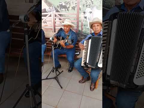Trio Coração da Pátria - Estrela de ouro